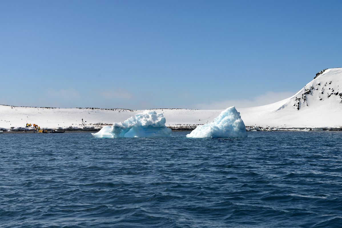 08C Penguin Colonies On Aitcho Barrientos Island In South Shetland Islands From Zodiac Of Quark Expeditions Antarctica Cruise Ship